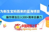 专为新生宝妈而来的蓝海项目，操作得当日入500+简单且暴力（教程+工具）