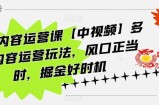海外内容运营课【中视频】多种内容运营玩法，风口正当时，掘金好时机