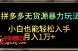 拼多多无货源暴力玩法，全程干货，小白也能轻松入手，月入1万+【揭秘】