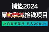 暴力私域捡钱项目，小白无脑操作，日入2980【揭秘】