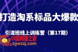 打造淘系标品大爆款引流班线上训练营（第17期）5天直播授课
