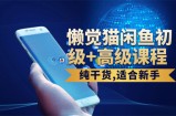 懒觉猫闲鱼初级+高级课程 副业月入过万实操讲解 纯干货