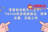 零基础也能月入上w，TikTok风景视频搬运，简单去重，无脑上传【揭秘】