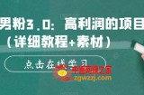 暴力男粉3.0：高利润的项目（详细教程+素材）【揭秘】