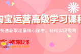 淘宝运营高级学习课程：快速获取流量核心秘密，轻松实现盈利！