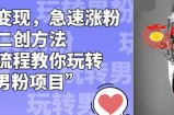 男粉变现，急速涨粉独家二创方法，全套流程教你玩转“男粉项目”【揭秘】