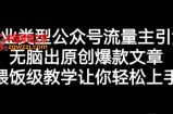 创业类型公众号流量主引流项目，无脑出原创爆款文章，喂饭级教学让你轻松上手【揭秘】