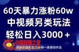 60天暴力涨粉60W，中视频另类玩法，日入3000＋，几分钟一条原创作品多种变现方式