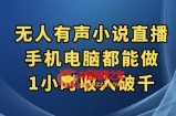 抖音无人有声小说直播，手机电脑都能做，1小时收入破千【揭秘】