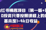 火爆小红书情趣项目（第一版+第二版），0投资只要按照课程上的做，基本是1-4k日收益