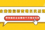 企业微信裂变增长实战课：带你搞定企业微信千万增长红利，新流量-新玩法