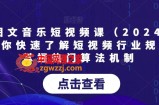 AI图文音乐短视频课（2024）,帮助你快速了解短视频行业规则，掌握热门算法机制