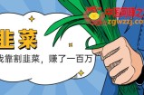 我靠割韭菜 赚了一百万