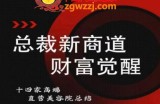 总裁新商道(美业老板必修课)，通俗易懂的美容院总结，解决美容院各种疑难杂症