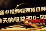 黄岛主《抖音中视频变现项目孵化》单天的收益300-500 操作简单粗暴