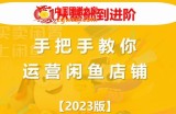 2023版0-1从基础到进阶，手把手教你运营闲鱼店铺
