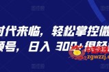AI 时代来临，轻松掌控微信视频号，日入 300+很轻松【揭秘】
