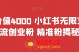 首发价值4000 小红书无限艾特暴力引流创业粉 精准粉揭秘教程