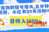 AI宠物剧情号爆火，五分钟一个视频，小红书30天涨粉10w，日收入1000+【揭秘】