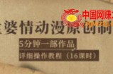 孟婆情动漫原创制作：5分钟1部成品，详细操作教程（16课时）