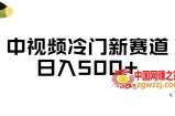 中视频冷门新赛道，做的人少，三天之内必起号，日入500+【揭秘】