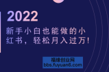 新手小白也能做的小红书，轻松月入过万【视频教程】