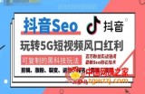 抖音SEO引流培训课程-抓住抖音风口，实现搜索排名，获取精准流量，快速成交变现