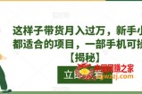 这样子带货月入过万，新手小白都适合的项目，一部手机可操作【揭秘】