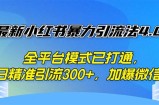 （12505期）最新小红书暴力引流法4.0， 全平台模式已打通，日精准引流300+，加爆微&amp;#8230;