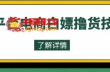 外面收费2980的全平台电商白嫖撸货技术，想要的商品随便撸，轻松月入过万