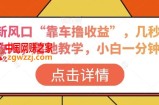 抖音新风口“靠车撸收益”，几秒视频过W收入，落地教学，小白一分钟上手【揭秘】