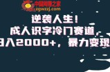 逆袭人生！成人识字冷门赛道，日入2000+，暴力变现！【揭秘】