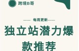 【跨境B哥】独立站潜力爆款选品推荐，测款出单率高达百分之80