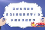 全新红利项目，适合0基础的新手小白，手把手课程教学【揭秘】