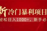 全新项目，每天被动收益1000+，长期管道收益！