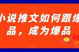 小说推文如何跟爆品，成为爆品【揭秘】