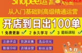 shopee运营教程：从0基础到高级精通，开店到每天100单