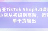 东南亚TikTok Shop3.0课程，TK小店​从初级到高阶，运营出单干货输出