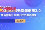 阿本小红书无货源电商3.0，告诉你为什么你小红书做不起来