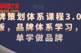 品牌策划体系课程3.0升级版，品牌体系学习，简单学做品牌