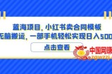 蓝海项目小红书卖合同模板无脑搬运一部手机日入500+（教程+4000份模板）【揭秘】