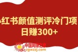 外面1980的项目，小红书颜值测评冷门项目，日赚300+【揭秘】