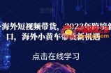 黑冰·海外短视频带货，2023年跨境新风口，海外小黄车带货新机遇