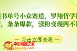 中视频书单号小众赛道，罗翔哲学语录混剪，条条爆款，涨粉变现两不误【揭秘】