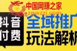 抖音付费全域推广玩法解析，抓住平台红利，小付费撬动大流量