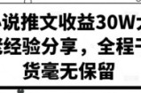 小说推文收益30W大佬经验分享，全程干货毫无保留