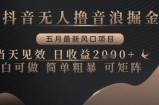 抖音无人撸音浪掘金，五月最新风口项目，当天见效，日收益多张，小白可做简单粗暴可矩阵【揭秘】