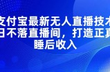 （11865期）支付宝最新无人直播技术，日不落直播间，打造正真睡后收入
