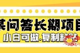 某问答长期项目，简单复制粘贴，10-20/小时，小白可做