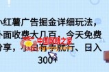 小红薯广告掘金详细玩法，外面收费大几百，小白有手就行，日入300+【揭秘】